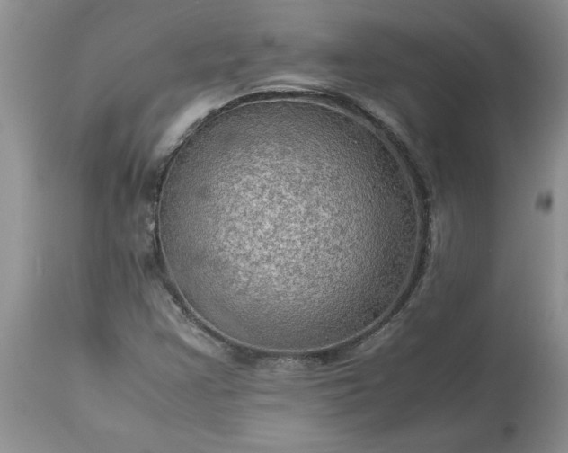 X0000113591355200910021707