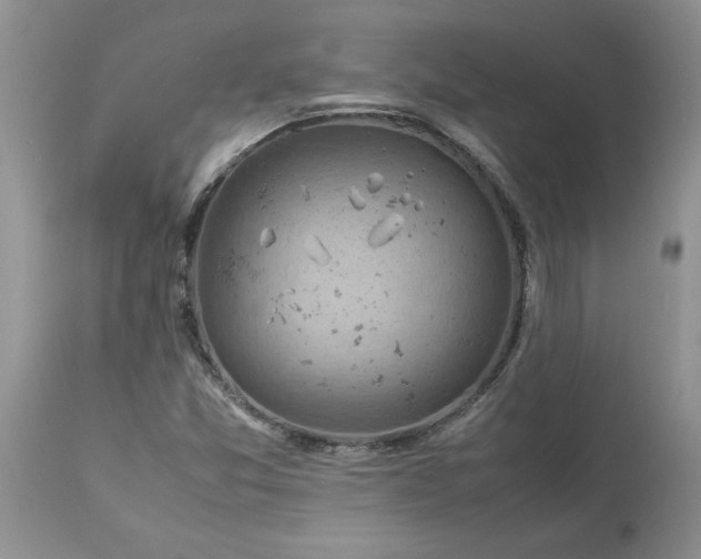 X0000113591357200910021707