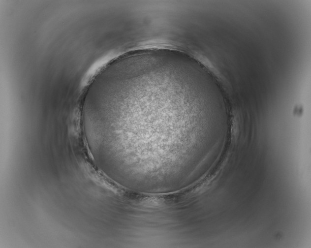 X0000113591358200910021707