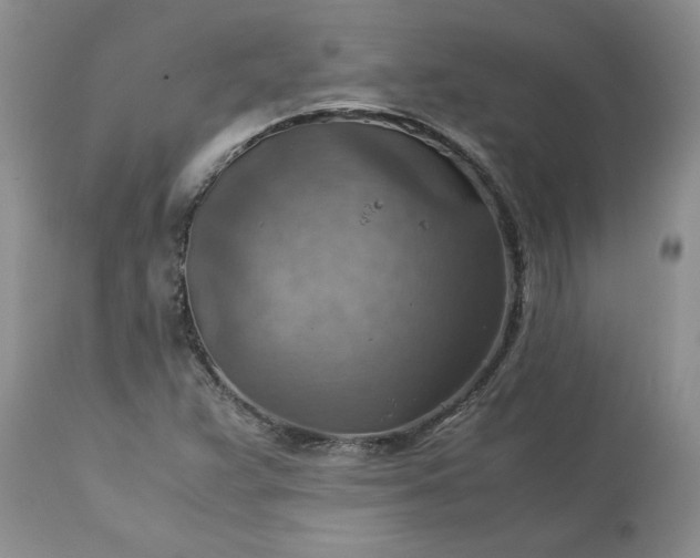 X0000113591359200910021707