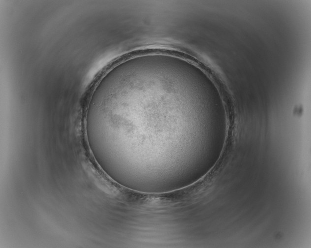 X0000113591360200910021707