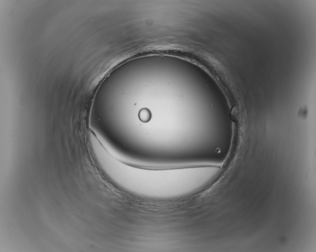 X0000113591361200910021707