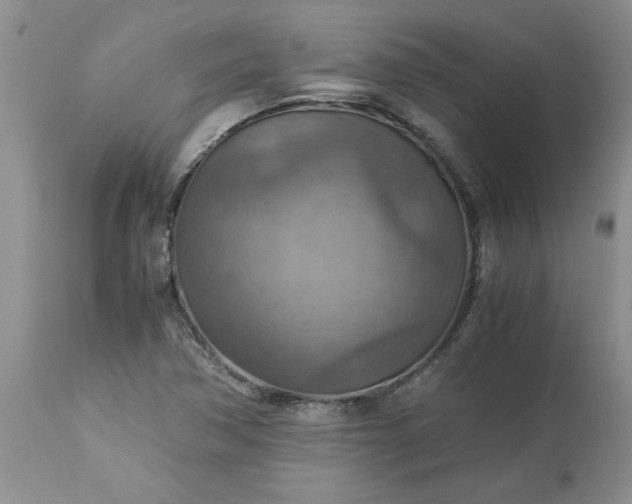 X0000113591362200910021707