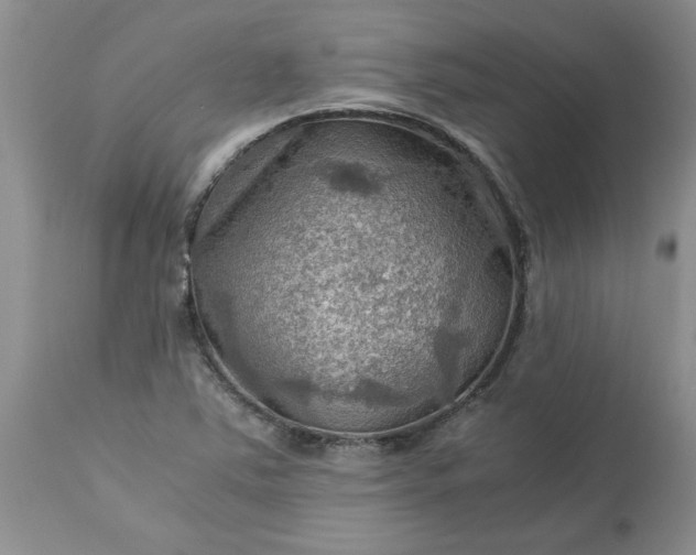 X0000113591363200910021707