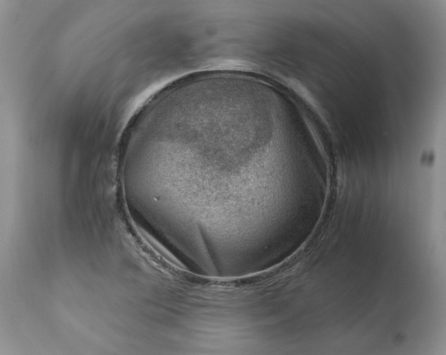 X0000113591364200910021707