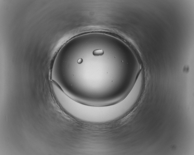 X0000113591365200910021707