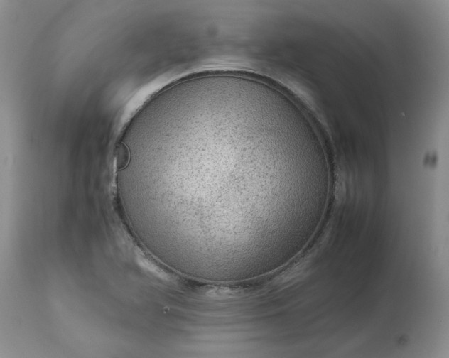 X0000113591366200910021707