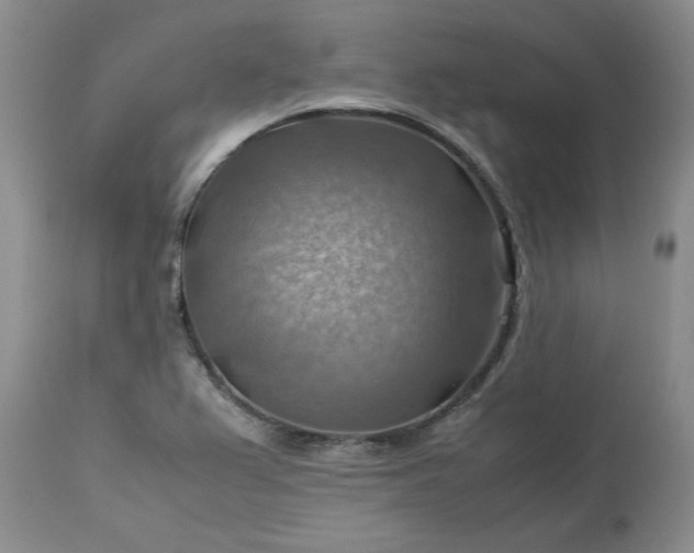 X0000113591367200910021707