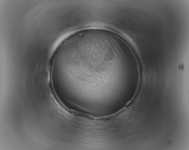 X0000113591368200910021707