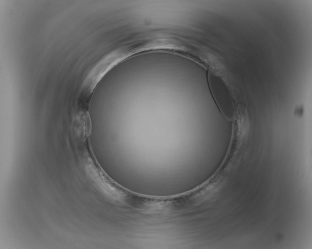 X0000113591369200910021706