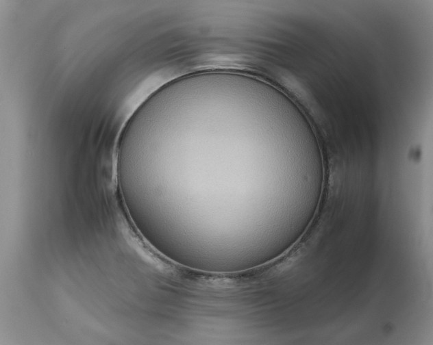 X0000113591370200910021706