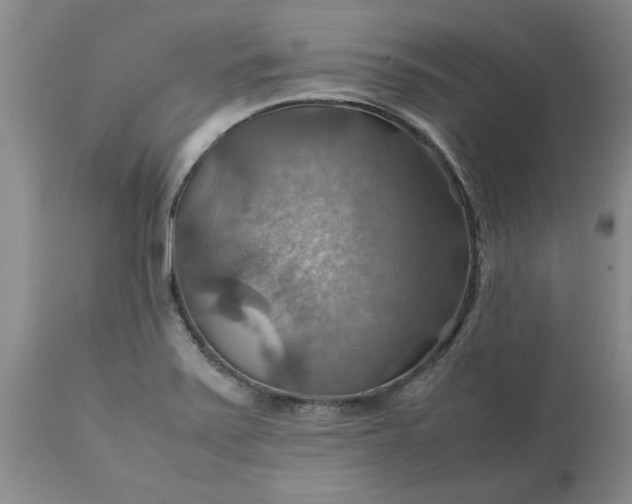 X0000113591371200910021706