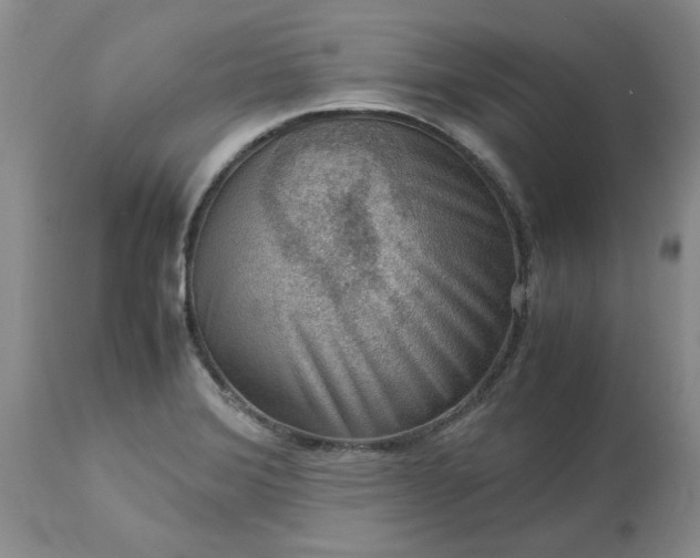 X0000113591372200910021706