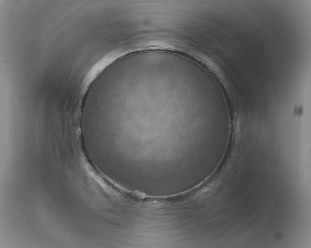 X0000113591373200910021706