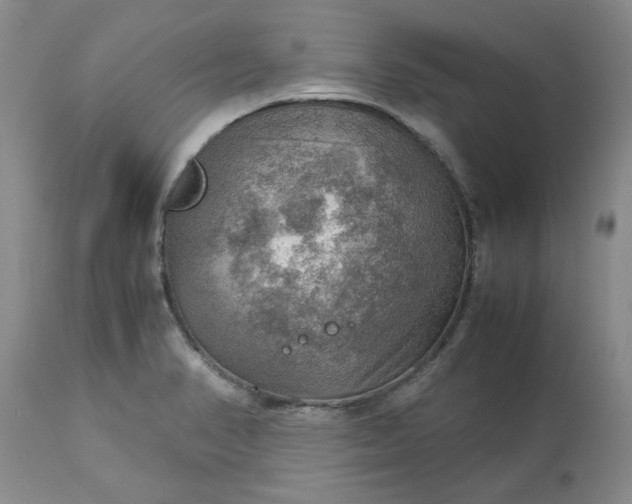 X0000113591374200910021706