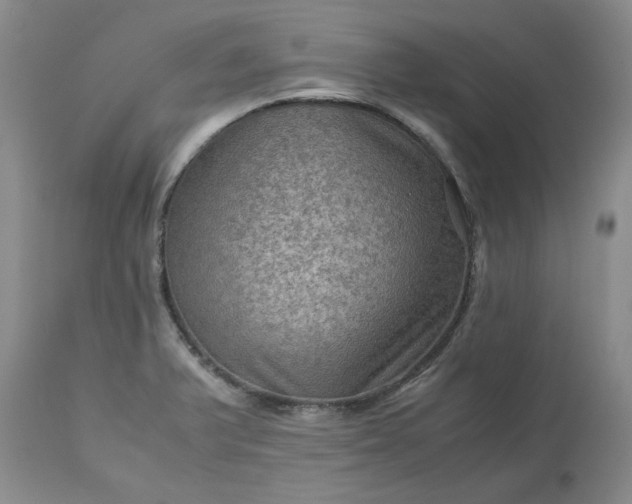 X0000113591375200910021706