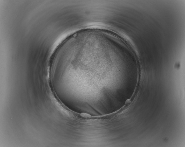 X0000113591376200910021706