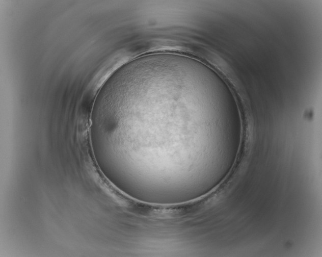 X0000113591377200910021706