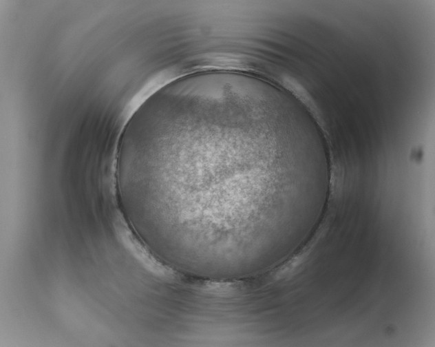 X0000113591378200910021706