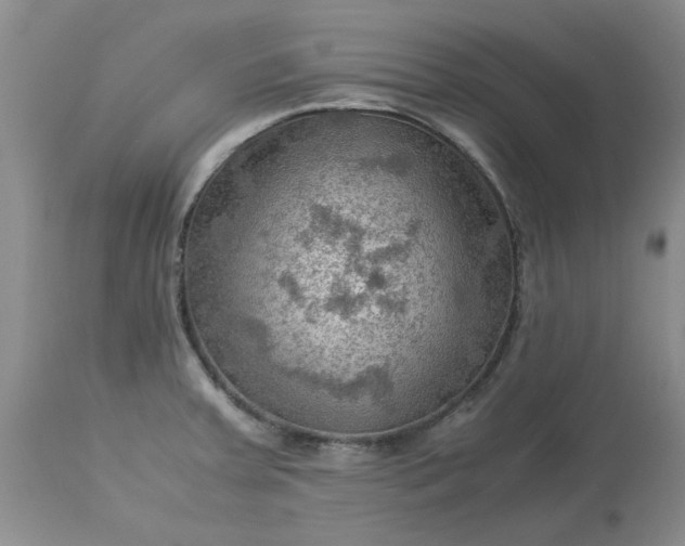 X0000113591379200910021706