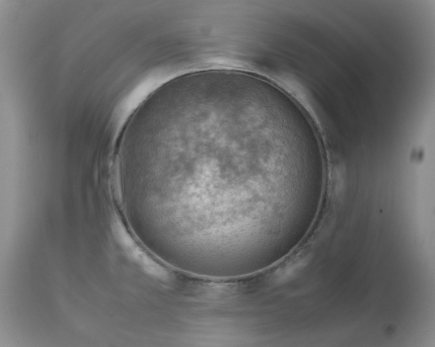 X0000113591381200910021706