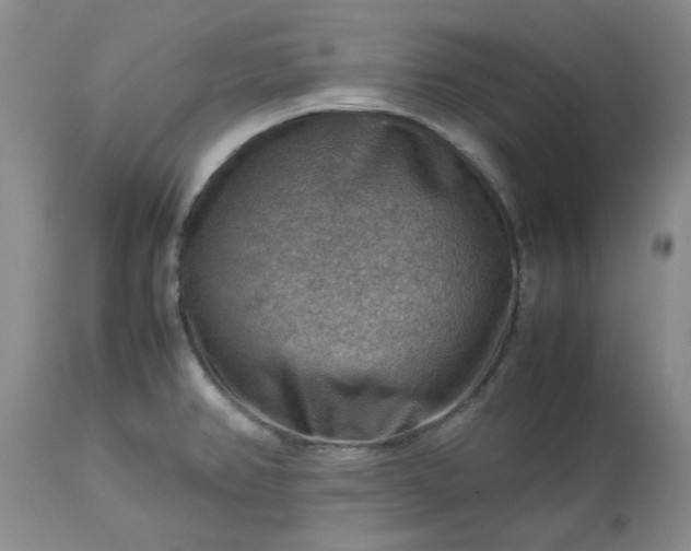 X0000113591382200910021706