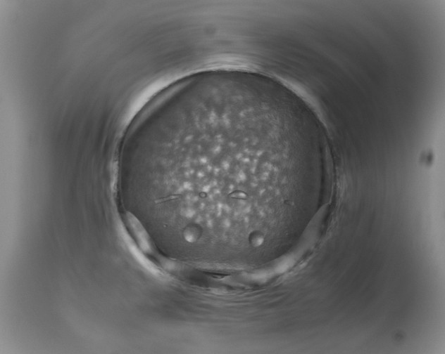 X0000113591383200910021706