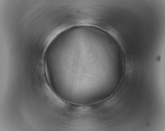 X0000113591384200910021706