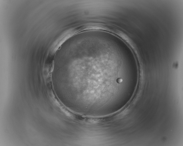 X0000113591385200910021706