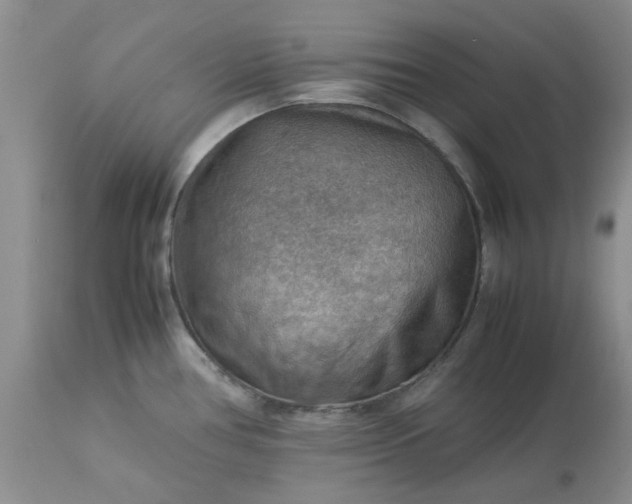 X0000113591386200910021706