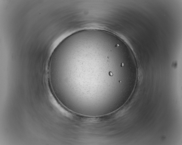 X0000113591387200910021706