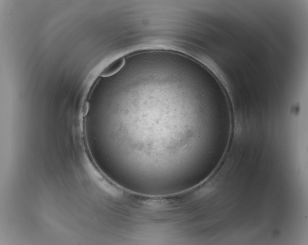 X0000113591388200910021706