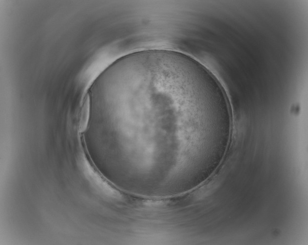 X0000113591389200910021706