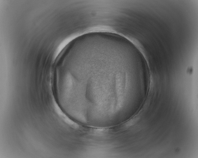 X0000113591390200910021706