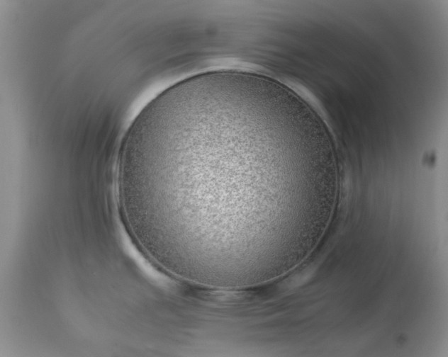 X0000113591391200910021706