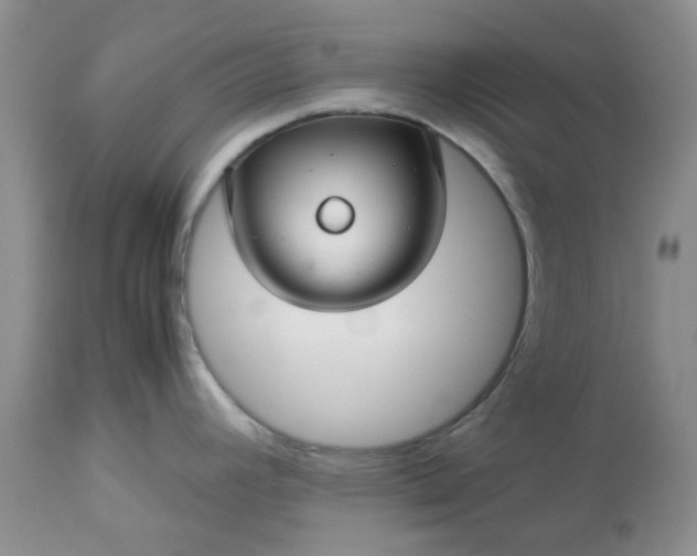 X0000113591392200910021706