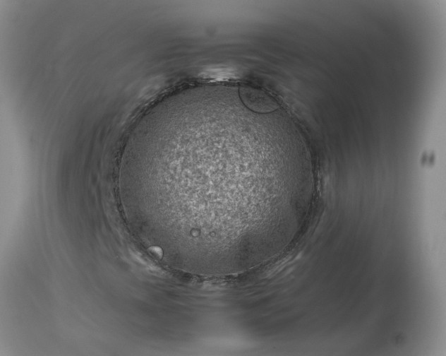 X0000113591393200910021706