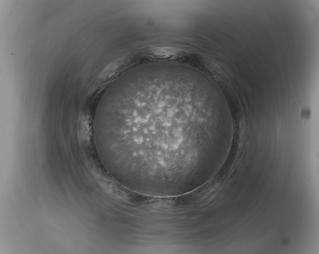 X0000113591394200910021706