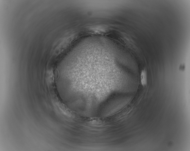 X0000113591395200910021706