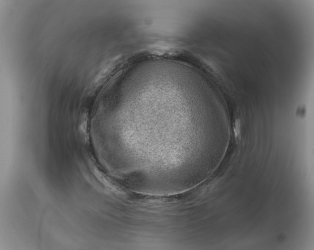 X0000113591396200910021706