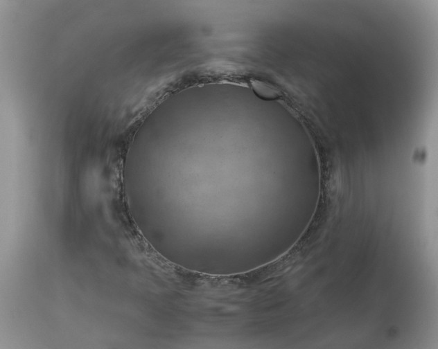 X0000113591397200910021706