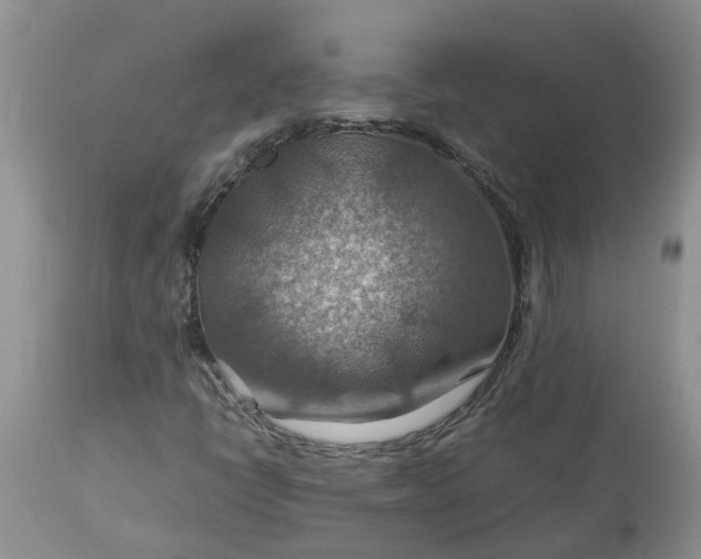 X0000113591398200910021706