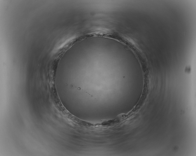 X0000113591399200910021706