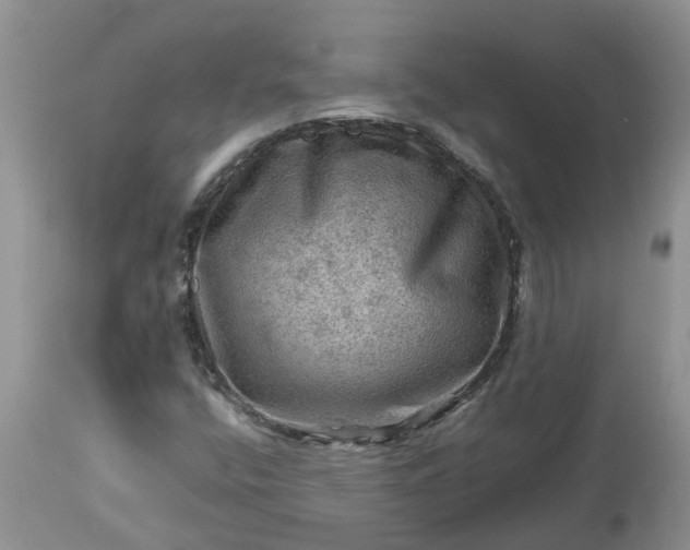 X0000113591400200910021706