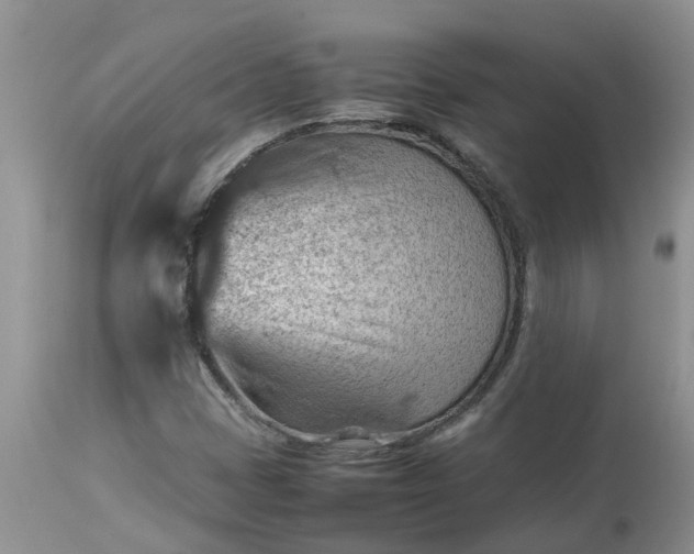 X0000113591401200910021706