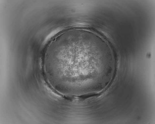 X0000113591402200910021706