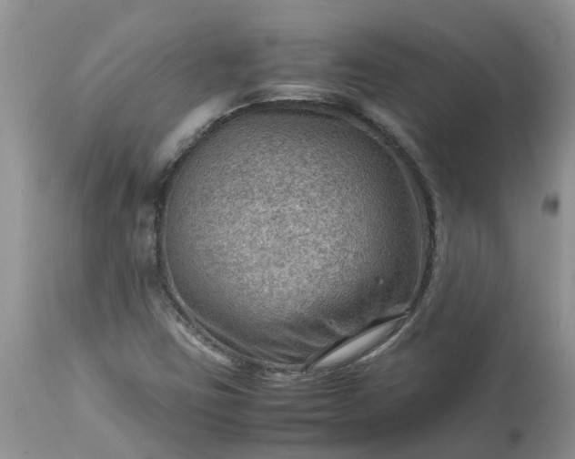 X0000113591403200910021706