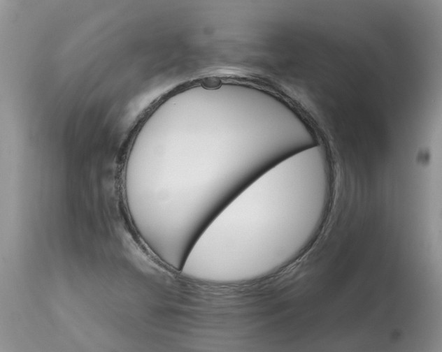 X0000113591404200910021706