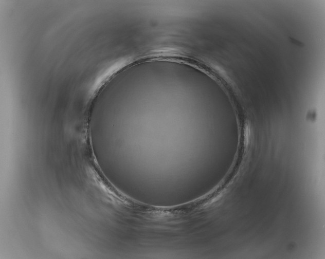 X0000113591405200910021706