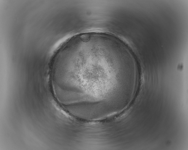 X0000113591406200910021706